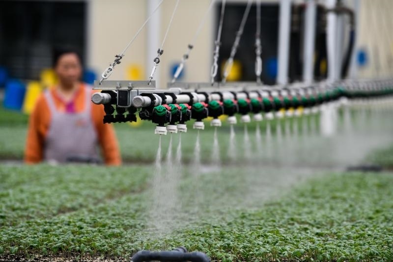 工人在貴陽(yáng)市開(kāi)陽(yáng)縣楠木渡蔬菜良種繁育中心查看自動(dòng)噴灌系統(tǒng)給辣椒苗澆水情況（2023年5月24日攝）。新華社記者 楊文斌 攝