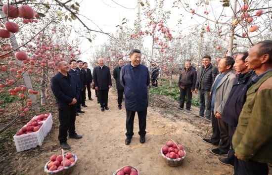 2022年10月26日，習(xí)近平總書(shū)記在陜西省延安市安塞區(qū)高橋鎮(zhèn)南溝村蘋(píng)果園同老鄉(xiāng)們親切交流。