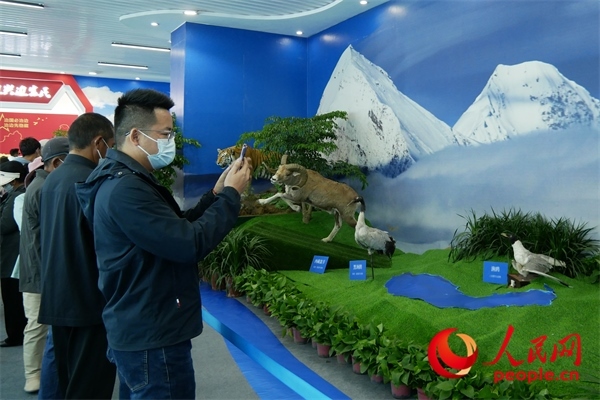 6月17日，觀眾正在觀展。人民網(wǎng) 韋衍行攝