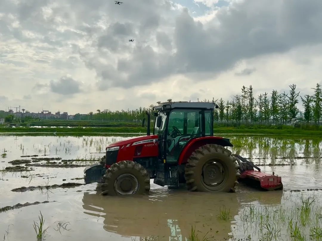 浙江省金華市東陽(yáng)市城東街道寀盧村的一臺(tái)無(wú)人駕駛耕地機(jī)。靜玄 攝