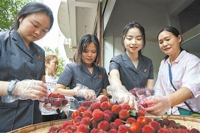 志愿者和村民一起將摘下的楊梅裝進食品盒里。