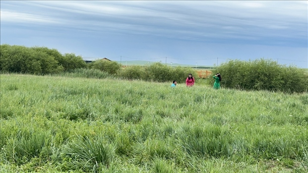 圖為游客在草原上拍照游玩。人民網(wǎng)記者 金洪花攝