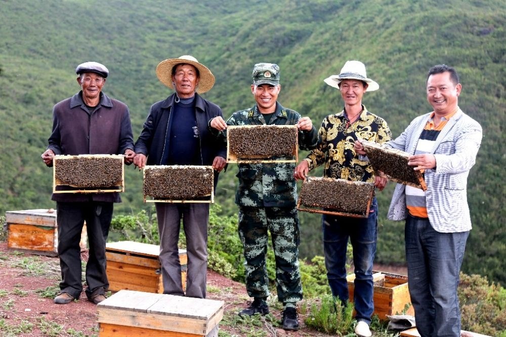 ↑武警四川總隊(duì)涼山支隊(duì)精準(zhǔn)幫扶昭覺(jué)縣梭梭拉打村發(fā)展養(yǎng)蜂產(chǎn)業(yè)，總隊(duì)駐村扶貧干部布哈（中）和村民一同展示豐收成果（2019年6月12日攝）。新華社發(fā)（楊劍 攝）