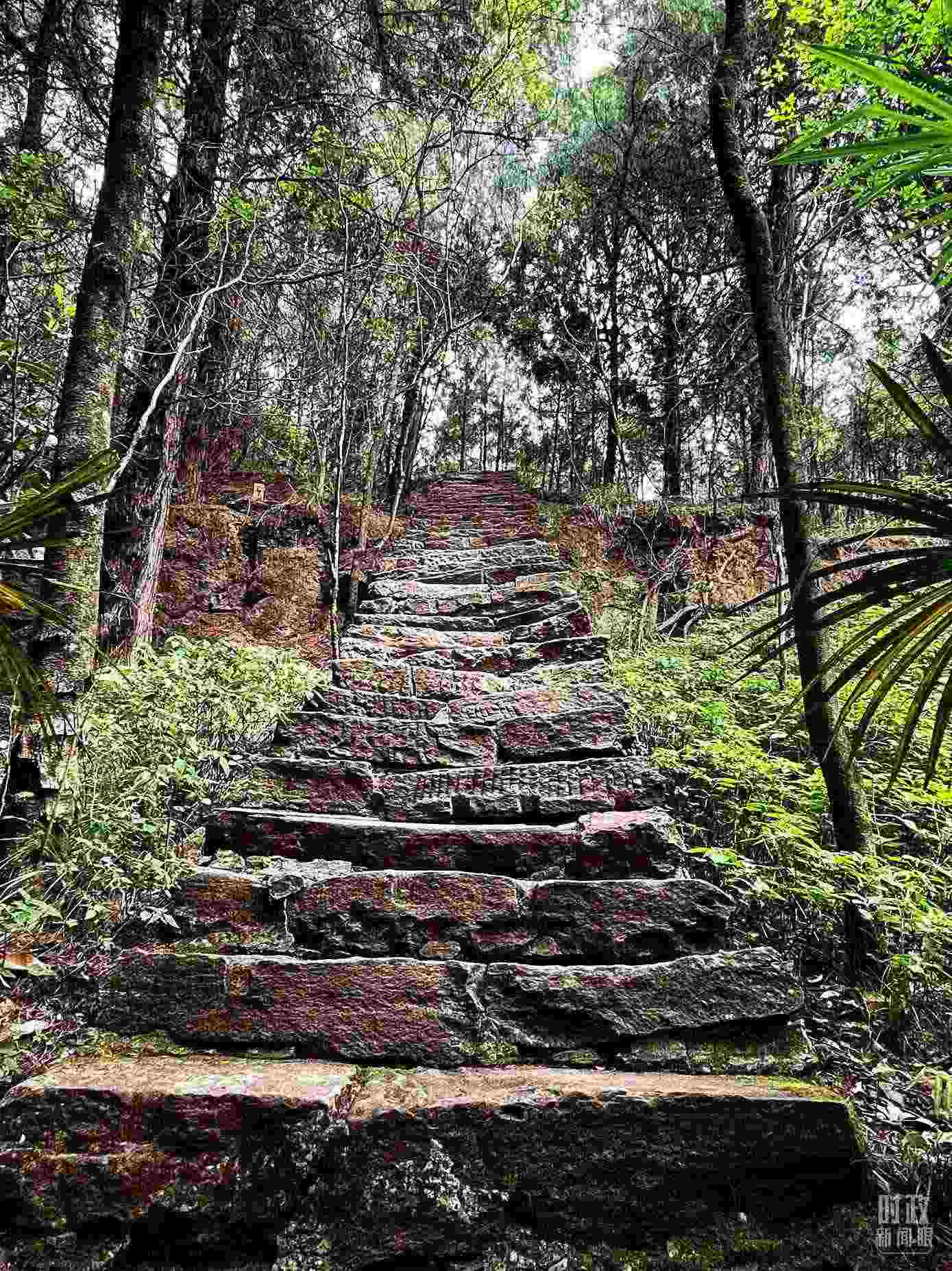 △古蜀道。（總臺(tái)央視記者郭曉龍拍攝）