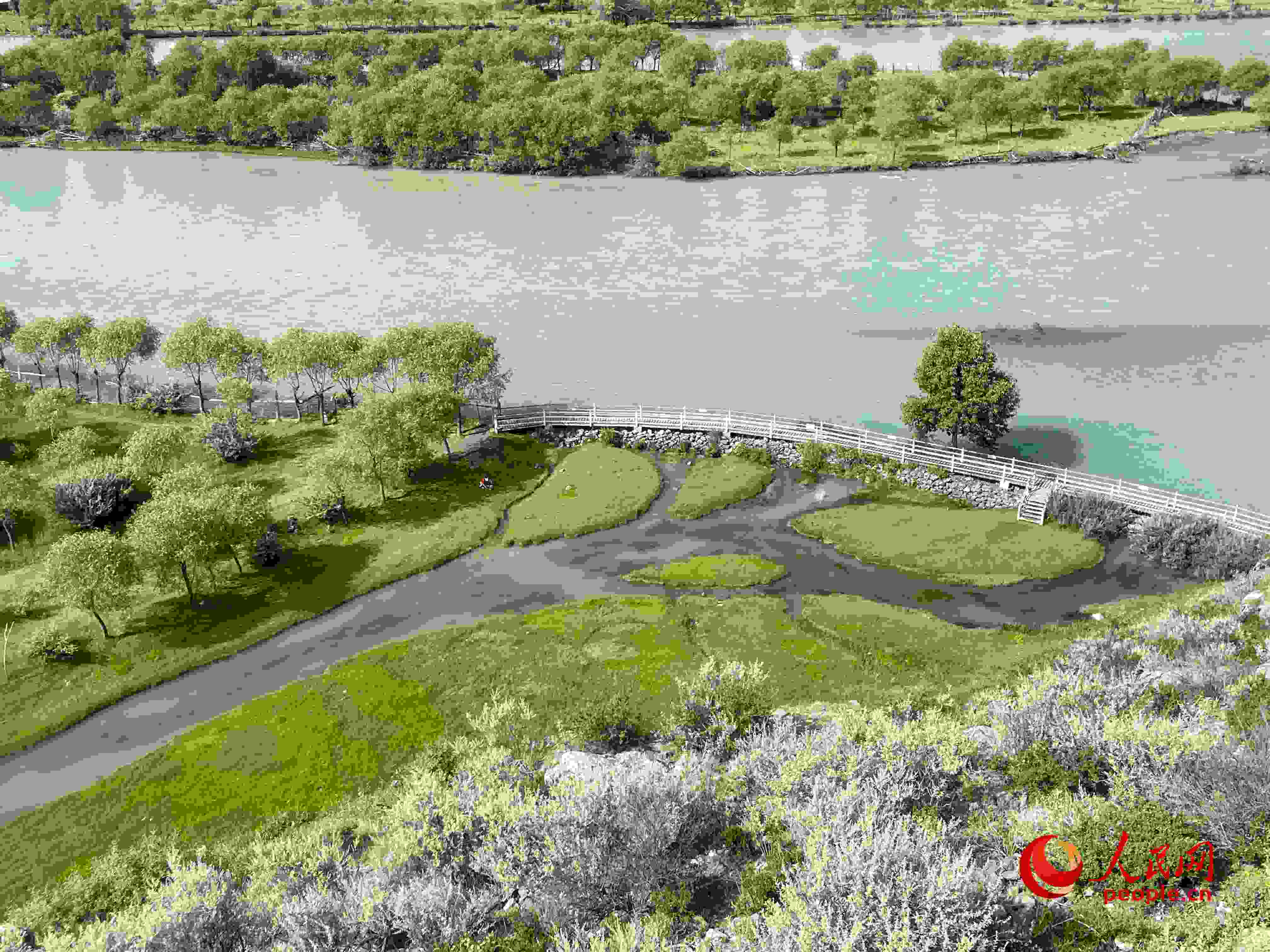 夏日的雅尼國家濕地公園生機盎然，如詩如畫。人民網(wǎng) 周靜圓攝