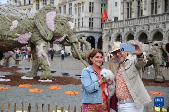 8月11日，觀眾在比利時布魯塞爾“鮮花時光”展覽上拍照。新華社記者 趙丁喆攝