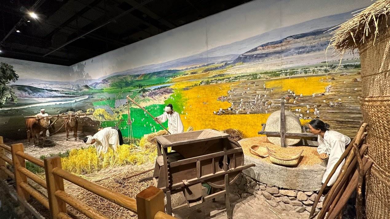 《朝鮮族民俗陳列》展廳。人民網(wǎng)記者 金洪花攝