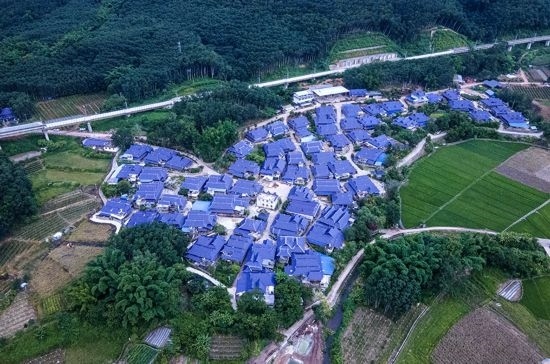 磨憨鎮(zhèn)曼莊村大龍哈小組現(xiàn)代化邊境幸福村新貌。人民網(wǎng)記者 符皓攝