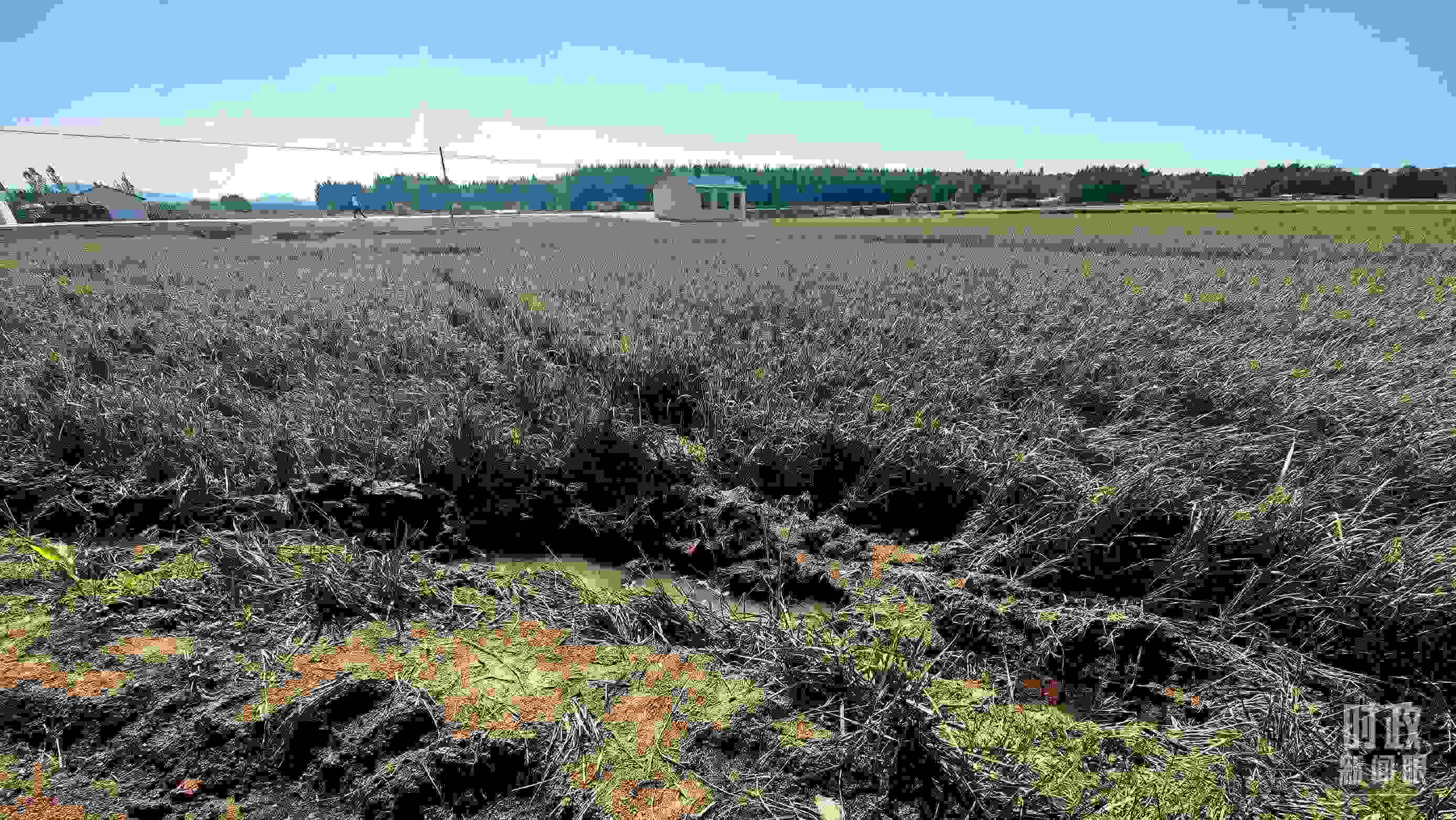 △圖為龍王廟村在洪災(zāi)中受損的農(nóng)田。（總臺(tái)央視記者史偉拍攝）