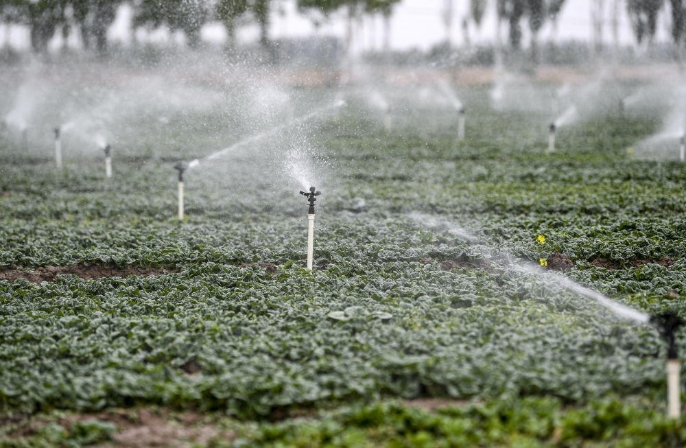 2023年5月25日，在寧夏銀川市永寧縣望洪鎮(zhèn)宋澄村冷涼蔬菜種植基地，小型噴灌節(jié)水設(shè)備在進行噴灌作業(yè)。新華社記者 馮開華 攝