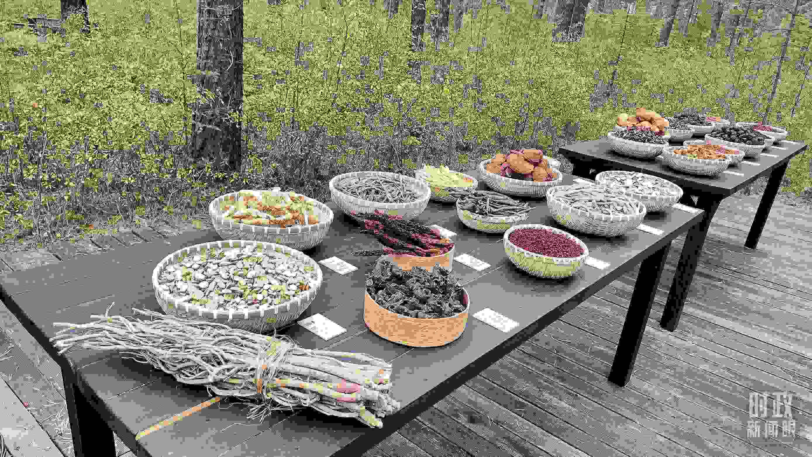 △林場里的食用菌、林果等特產(chǎn)。（總臺央視記者楊立峰拍攝）