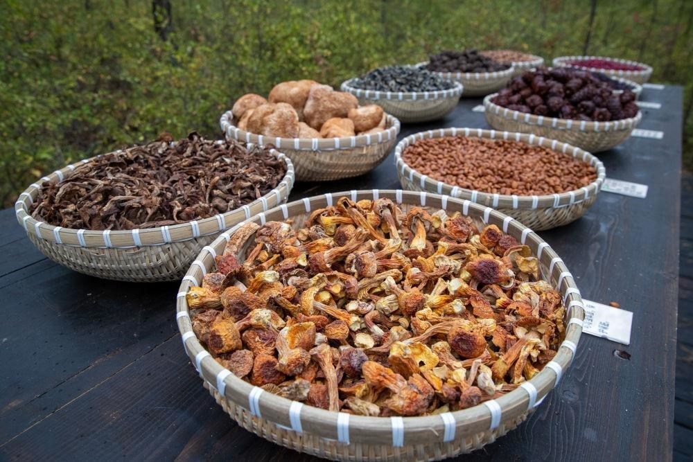 △近日，漠河市北極村一景區(qū)展示的林下產(chǎn)品。