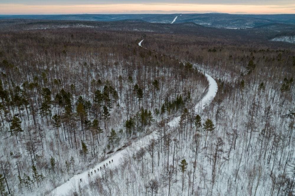 △2023年1月，漠河林場數(shù)十名職工自發(fā)組成的森林撫育隊伍，在人跡罕至的山林中作業(yè)。