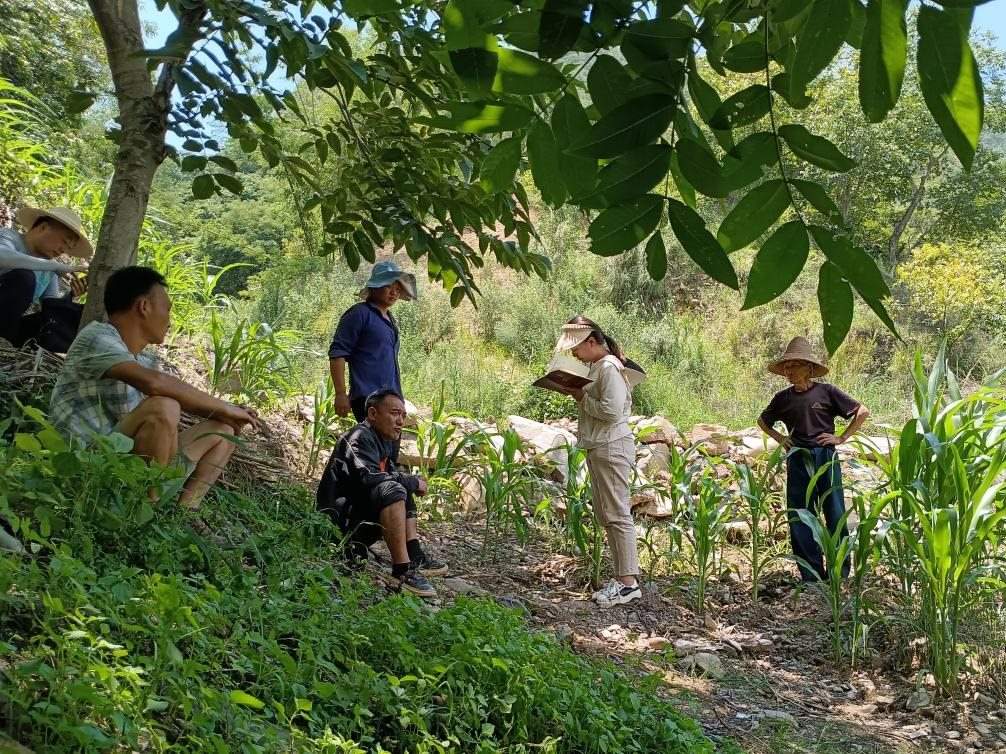 2023年7月18日，兩家村民發(fā)生土地方面的糾紛，李江女（右二）在記錄情況。受訪者供圖