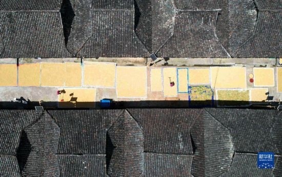 9月16日，在貴州省黔東南苗族侗族自治州從江縣加勉鄉(xiāng)污扣村，村民在晾曬稻谷（無人機照片）。