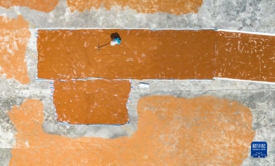 9月16日，農(nóng)民在貴州省安順市西秀區(qū)大西橋鎮(zhèn)吉昌村晾曬高粱（無人機照片）。