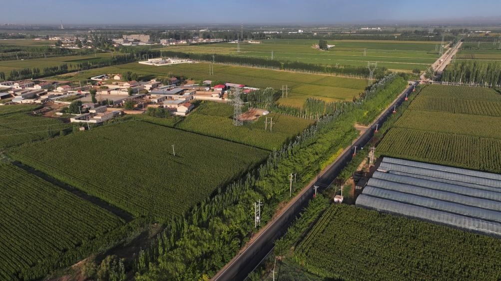 東興村周邊建起防護林網(wǎng)（無人機照片，2023年9月12日攝）。新華社記者李云平 攝