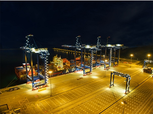 萊基港實(shí)行7×24小時裝卸作業(yè)機(jī)制。受訪者供圖