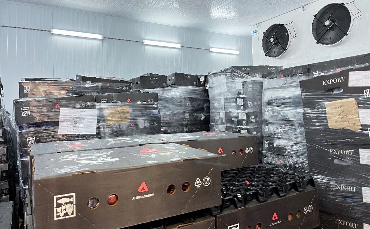 恒溫冷庫中，包裝好的牛肉等待發(fā)往中國。人民網(wǎng)記者 朱虹攝