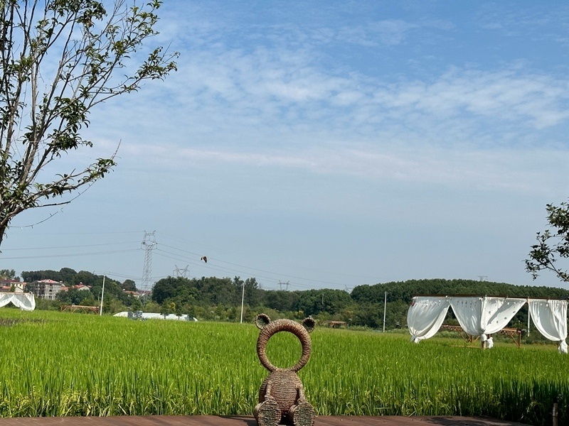 林語(yǔ)未來(lái)村打造農(nóng)家畈田園綜合體。人民網(wǎng) 王紹紹攝