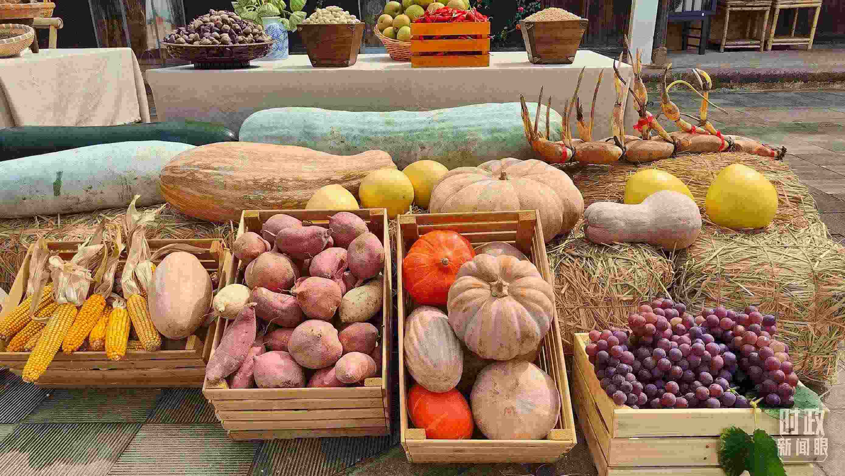 △村廣場“共富市集”，擺放著種類豐富的特色農(nóng)產(chǎn)品。（總臺央視記者楊立峰拍攝）