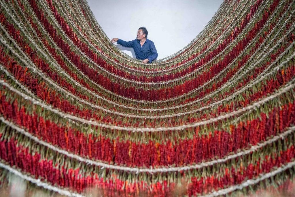 在貴州省畢節(jié)市大方縣理化鄉(xiāng)金雞村，村民查看辣椒烘干情況。新華社發(fā) 羅大富攝