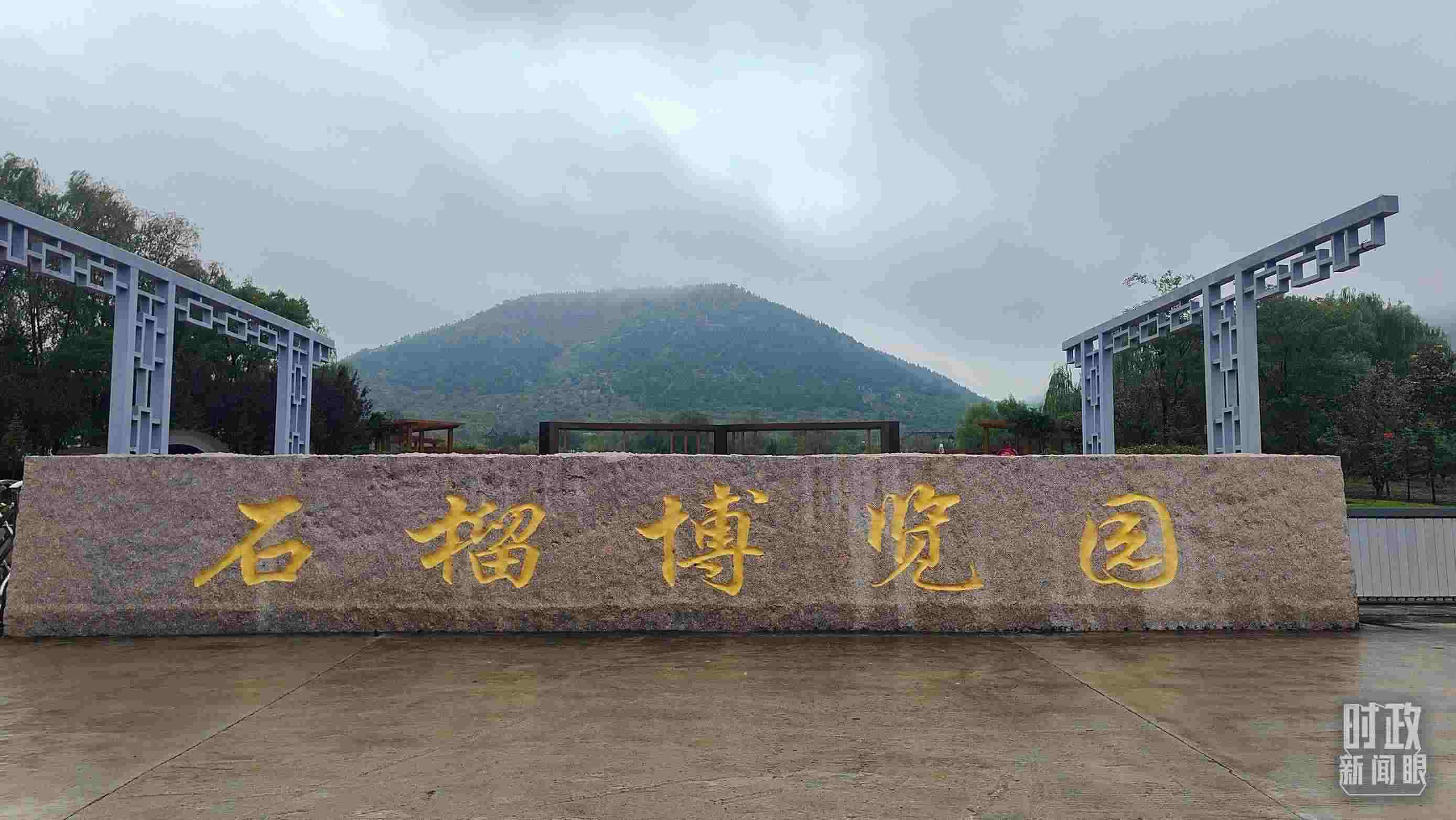 △石榴種質(zhì)資源庫(kù)位于石榴博覽園內(nèi)。（總臺(tái)央視記者楊立峰拍攝）