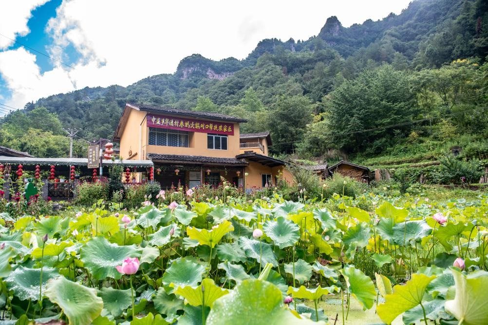 這是8月28日拍攝的華溪村村民開設的農家樂外景。新華社記者 唐奕 攝