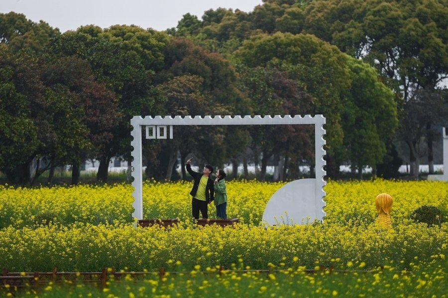  游客在浙江嘉興市秀洲區(qū)王店鎮(zhèn)鎮(zhèn)中村的“青青樂地”農(nóng)耕文化園內(nèi)游玩（2023年4月3日攝）。