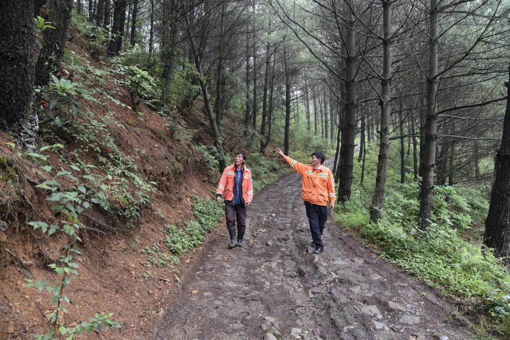 海雀村生態(tài)護(hù)林員馬正安（左）和海雀村林管員王光德（右）在日常巡山護(hù)林。新華社記者 李凡 攝