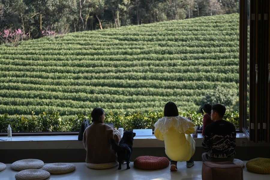 游客在浙江省安吉縣黃杜村萬畝茶園邊的咖啡館休閑（2023年2月21日攝）。