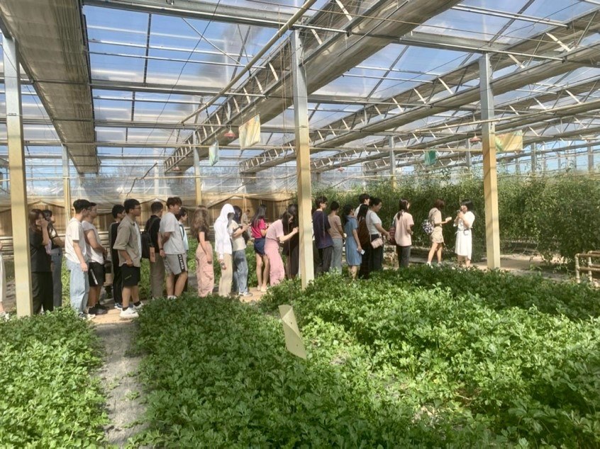 記者團參觀國信現代農業(yè)基地 了解現代化溫室建設及其配套設施的設計生產理念 中國農業(yè)大學勾琳萱 攝