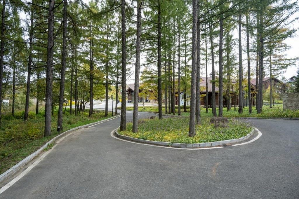 園區(qū)里“路讓樹(shù)”成為行為準(zhǔn)則。王哲攝