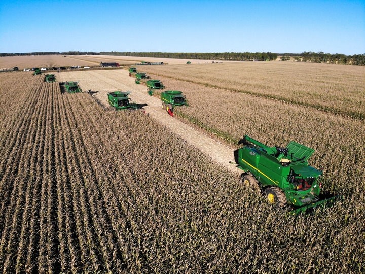 9月20日在位于黑龍江雙鴨山市友誼縣的北大荒農(nóng)業(yè)股份有限公司友誼分公司一地塊拍攝的秋收現(xiàn)場（無人機照片）。新華社記者 王松 攝