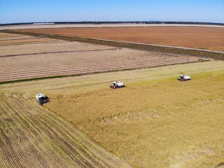 這是在位于黑龍江雙鴨山市友誼縣的北大荒農(nóng)業(yè)股份有限公司友誼分公司一地塊拍攝的水稻收獲現(xiàn)場(chǎng)（2023年9月21日攝，無人機(jī)照片）。新華社記者 王松 攝