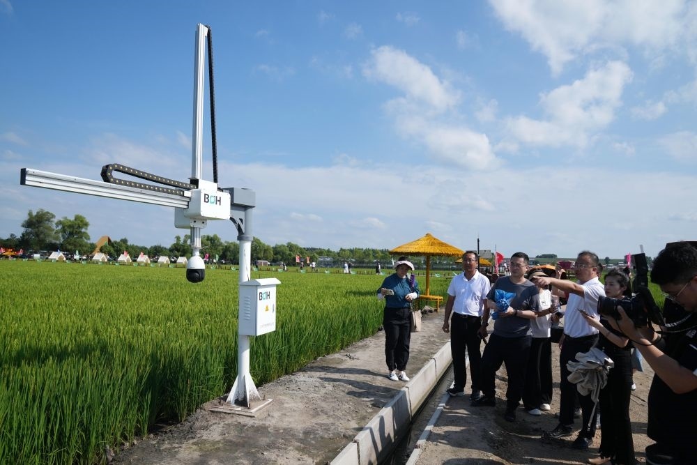 在北大荒集團(tuán)閆家崗農(nóng)場(chǎng)有限公司農(nóng)業(yè)現(xiàn)代化示范區(qū)，工作人員在介紹利用數(shù)字技術(shù)的葉齡診斷儀（2023年8月10日攝）。新華社記者 王建威 攝