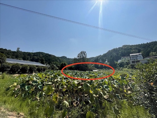 曾經(jīng)的圣水園所在地。 人民網(wǎng)記者 楊喬攝