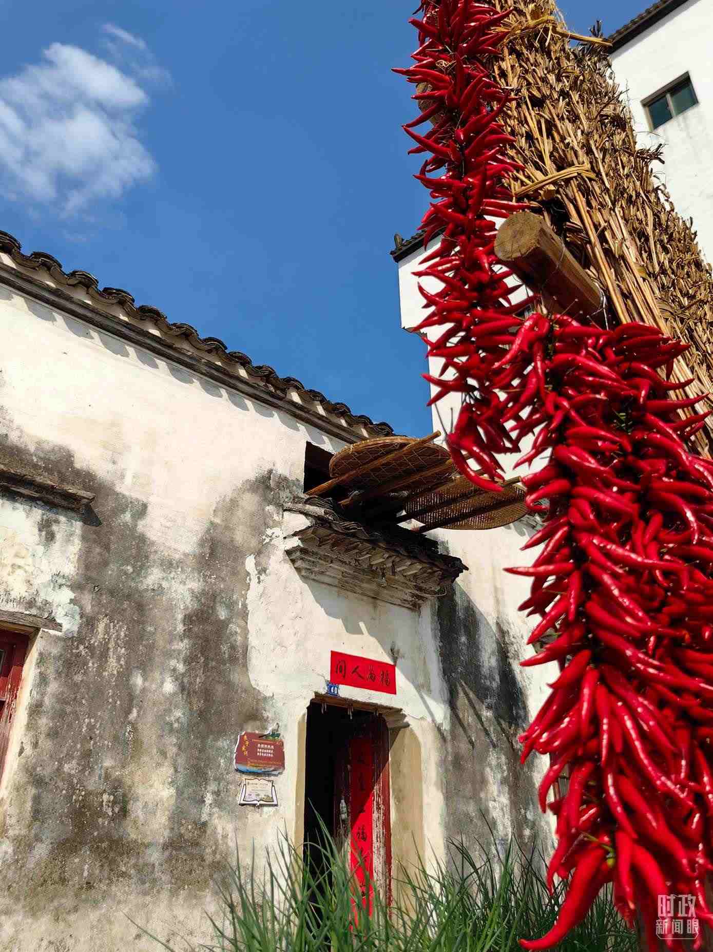 △石門村農家晾曬的辣椒。（總臺央視記者段德文拍攝）