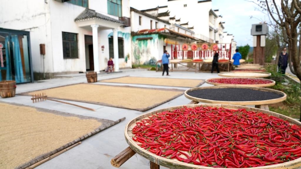 近日拍攝的江西省上饒市婺源縣秋口鎮(zhèn)王村石門(mén)自然村。新華社記者 胡晨歡 攝