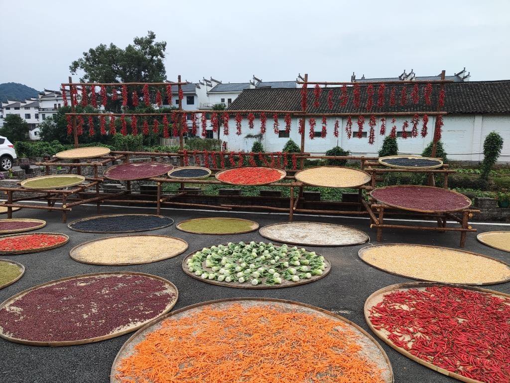 近日，江西省上饒市婺源縣秋口鎮(zhèn)王村村民晾曬的農(nóng)作物。新華社記者 劉佳敏 攝