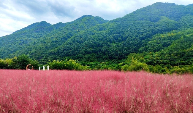 寶成線鳳縣境內(nèi)的路邊。