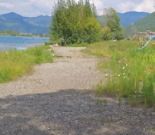 王軍所說被填區(qū)域。 人民網(wǎng)記者 黃鈺攝