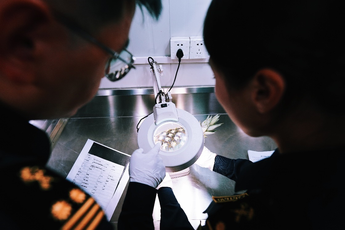 上海海關(guān)關(guān)員針對檢疫性有害生物和農(nóng)藥殘留進(jìn)行檢疫檢驗。陳興洲攝