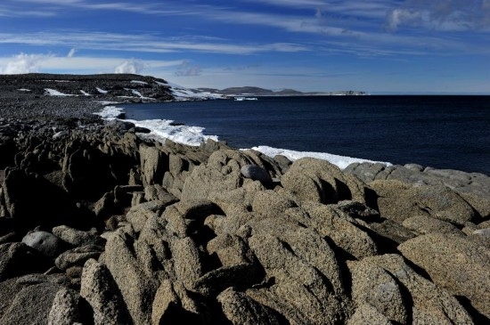 羅斯海恩克斯堡島的夏季風(fēng)光。新華社記者 張建松 攝