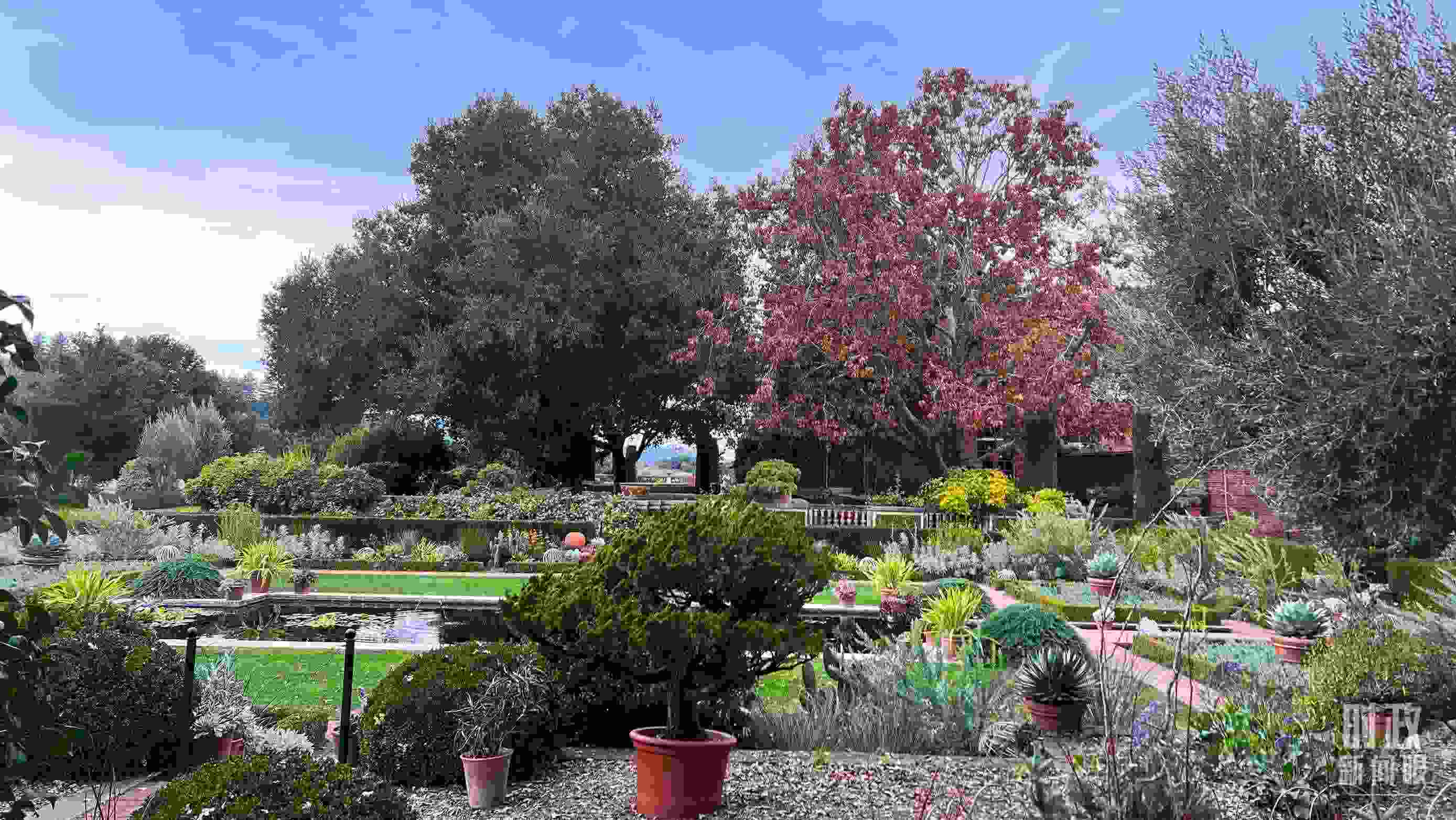 斐洛里莊園被稱作美國20世紀(jì)現(xiàn)存最精美鄉(xiāng)村莊園之一。（總臺央視記者程鋮拍攝）