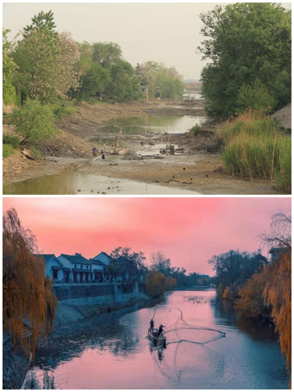 江蘇省揚(yáng)州市江都區(qū)明清運(yùn)河故道整治前后。（上圖：2012年；下圖：2020年）（孫友定 攝）