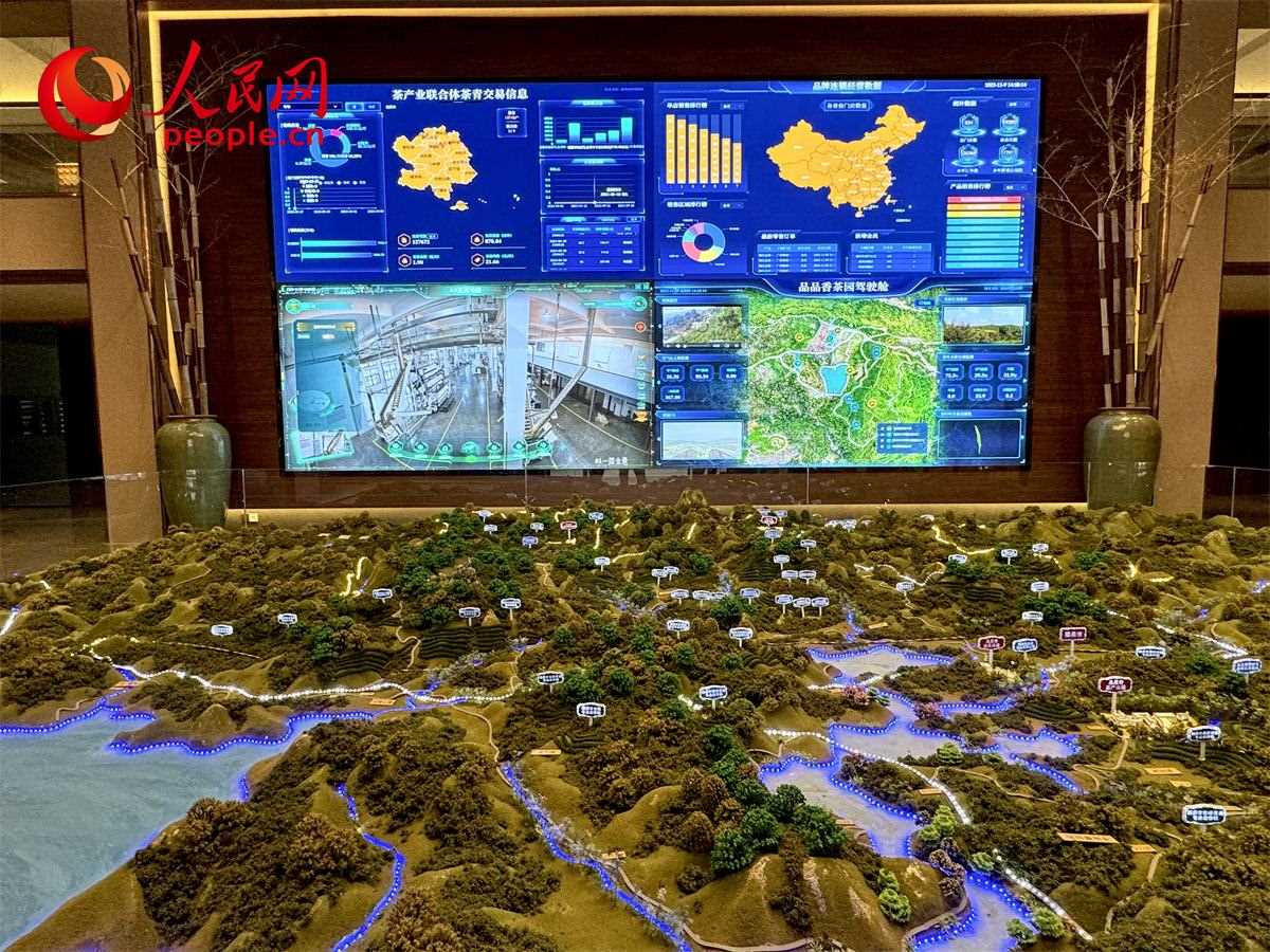 品品香白茶產(chǎn)業(yè)園信息中心數(shù)智化大屏。人民網(wǎng)記者 劉微攝