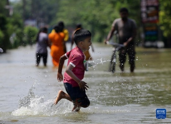 11月24日，一名男孩在斯里蘭卡加姆珀哈涉水出行。新華社發(fā)（阿吉特·佩雷拉攝）