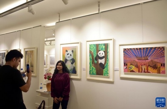 11月22日，在孟加拉國(guó)達(dá)卡，人們?cè)凇皣?guó)家印象”繪畫(huà)展上參觀拍照。新華社發(fā)（薩利姆攝）