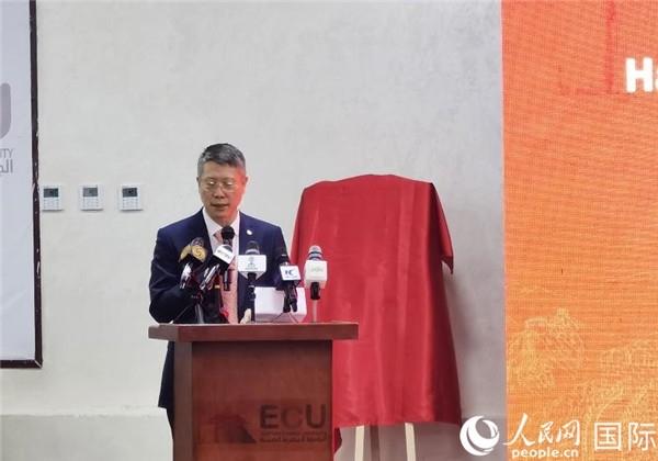 中國(guó)石化非洲代表處總代表衛(wèi)東致辭。人民網(wǎng)記者 沈小曉攝